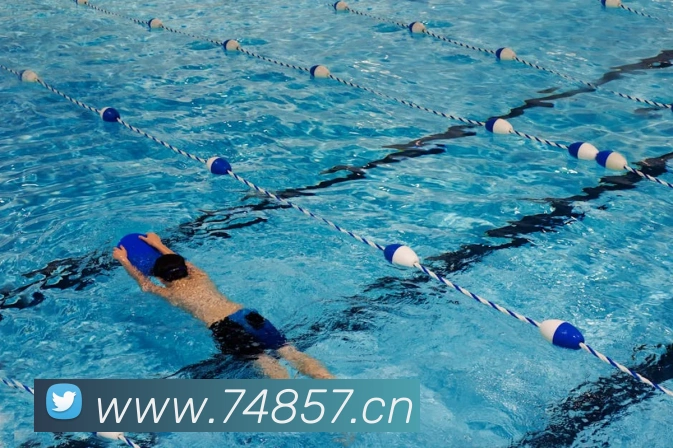 国际pg平台入口服务体系